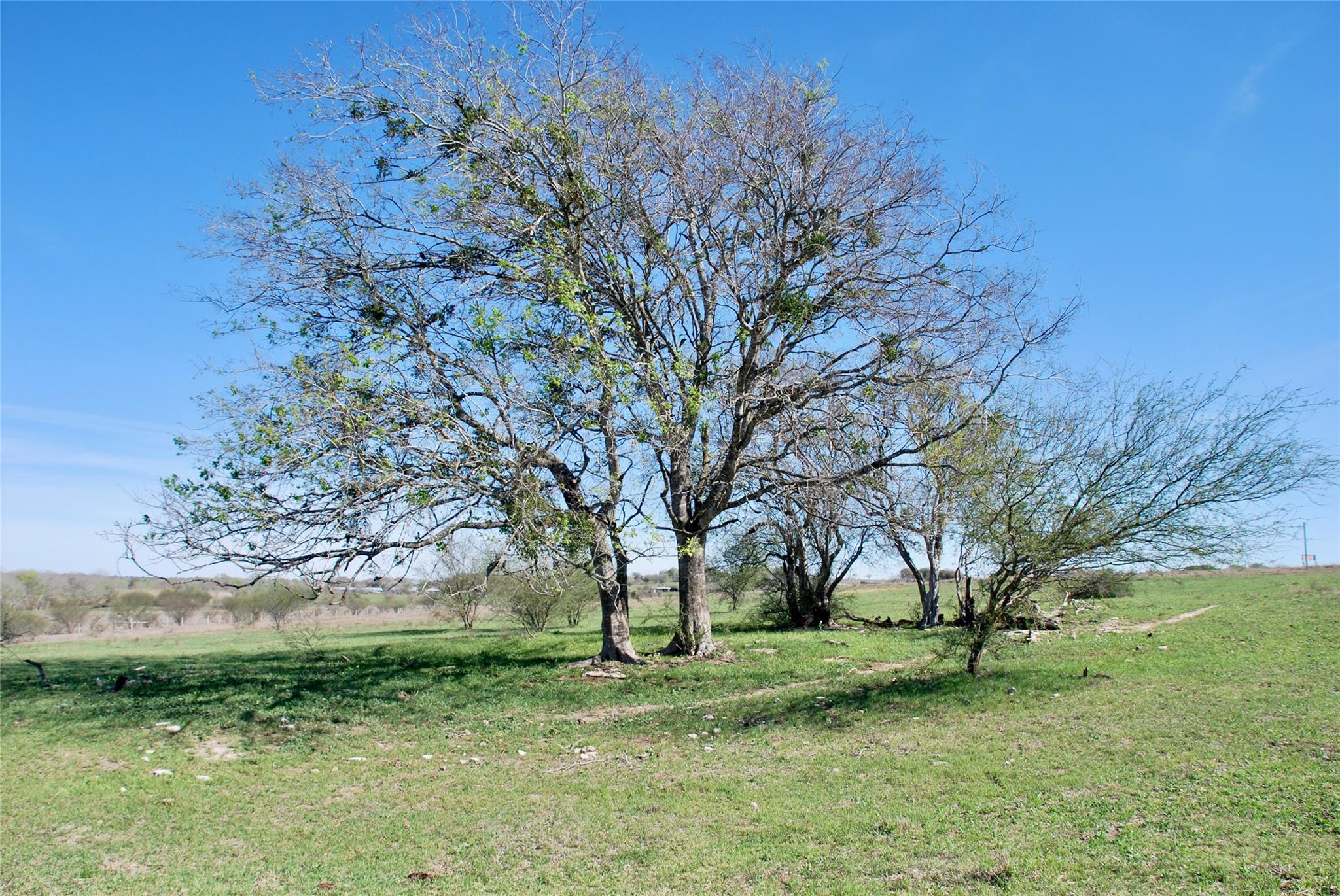 Tbd State Highway 95 Highway N Moulton TX 77975