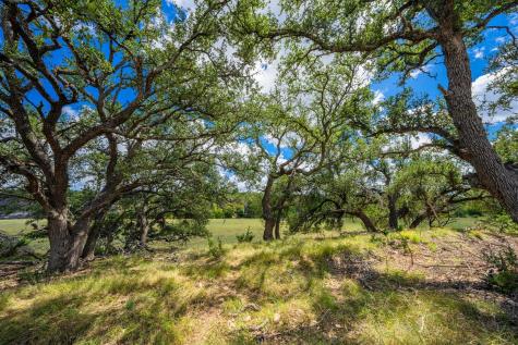 6477 S 783 Ranch Harper TX 78631