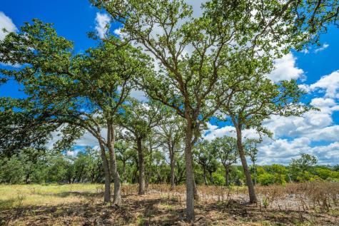 6477 S 783 Ranch Harper TX 78631