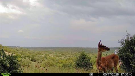 0 Trails End Road Leander TX 78641