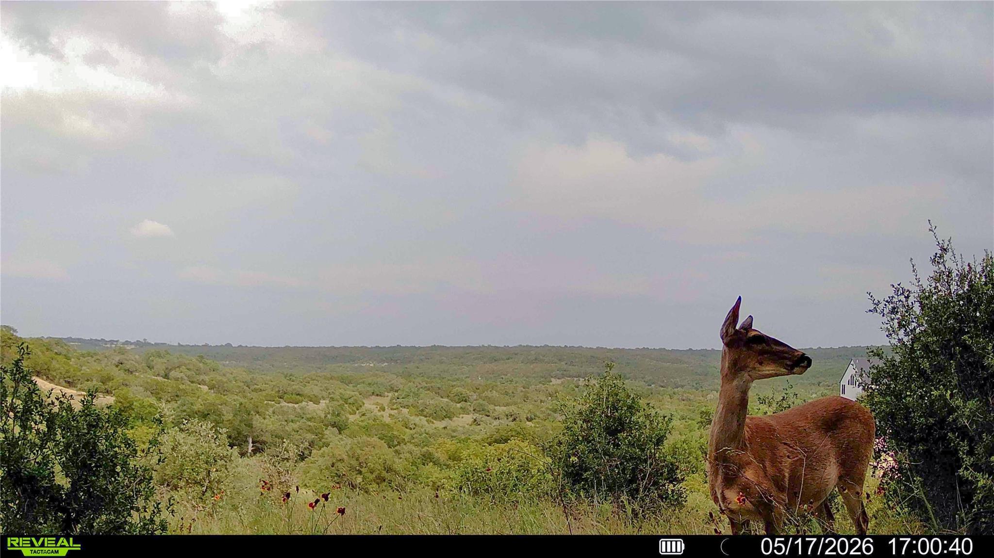 0 Trails End Road Leander TX 78641