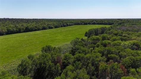 Tbd St Delight (Tract 1) Road Paige TX 78659