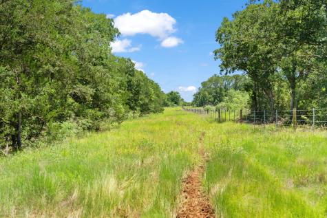 Tbd St Delight (Tract 1) Road Paige TX 78659