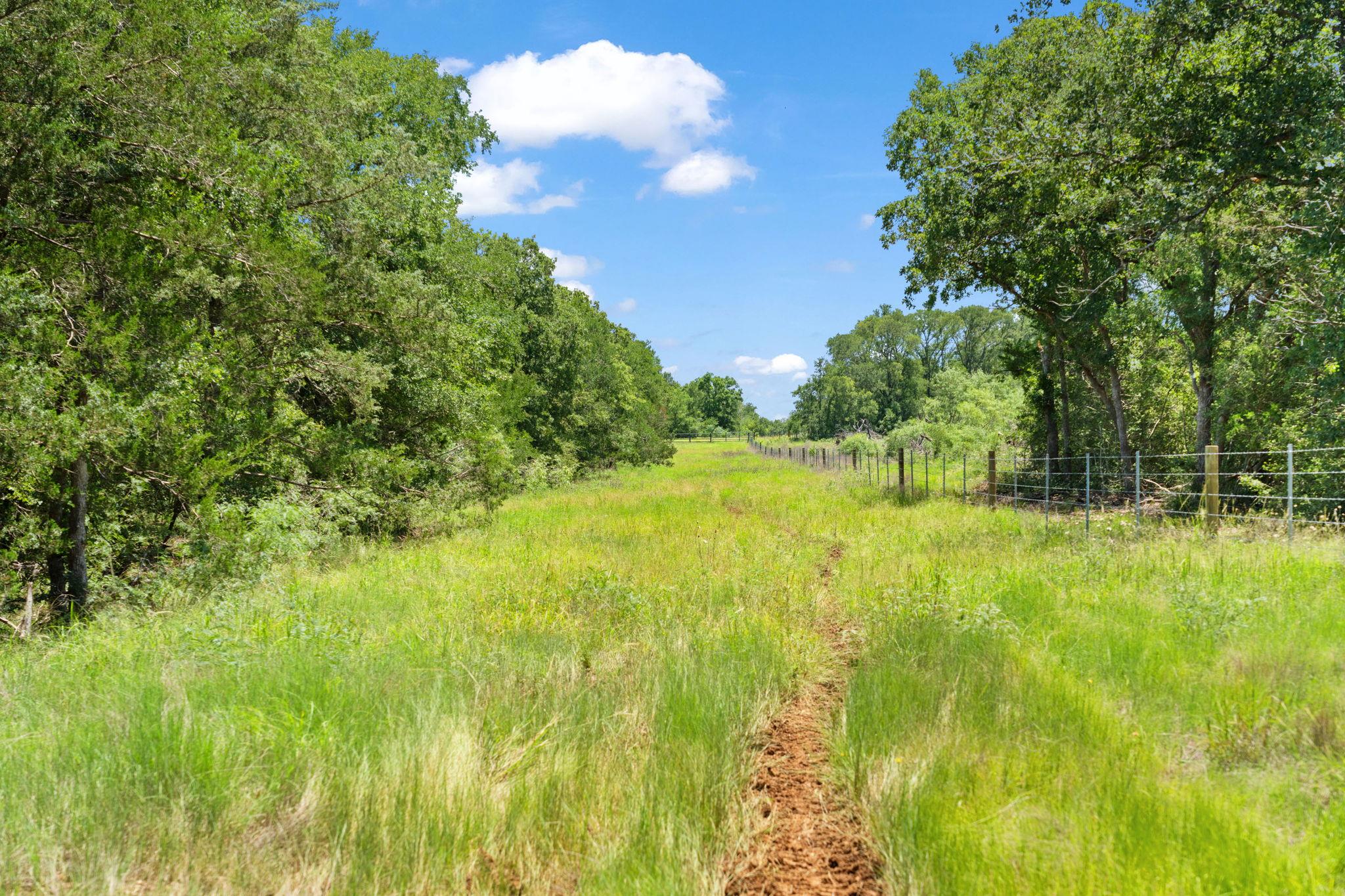 Tbd St Delight (Tract 1) Road Paige TX 78659