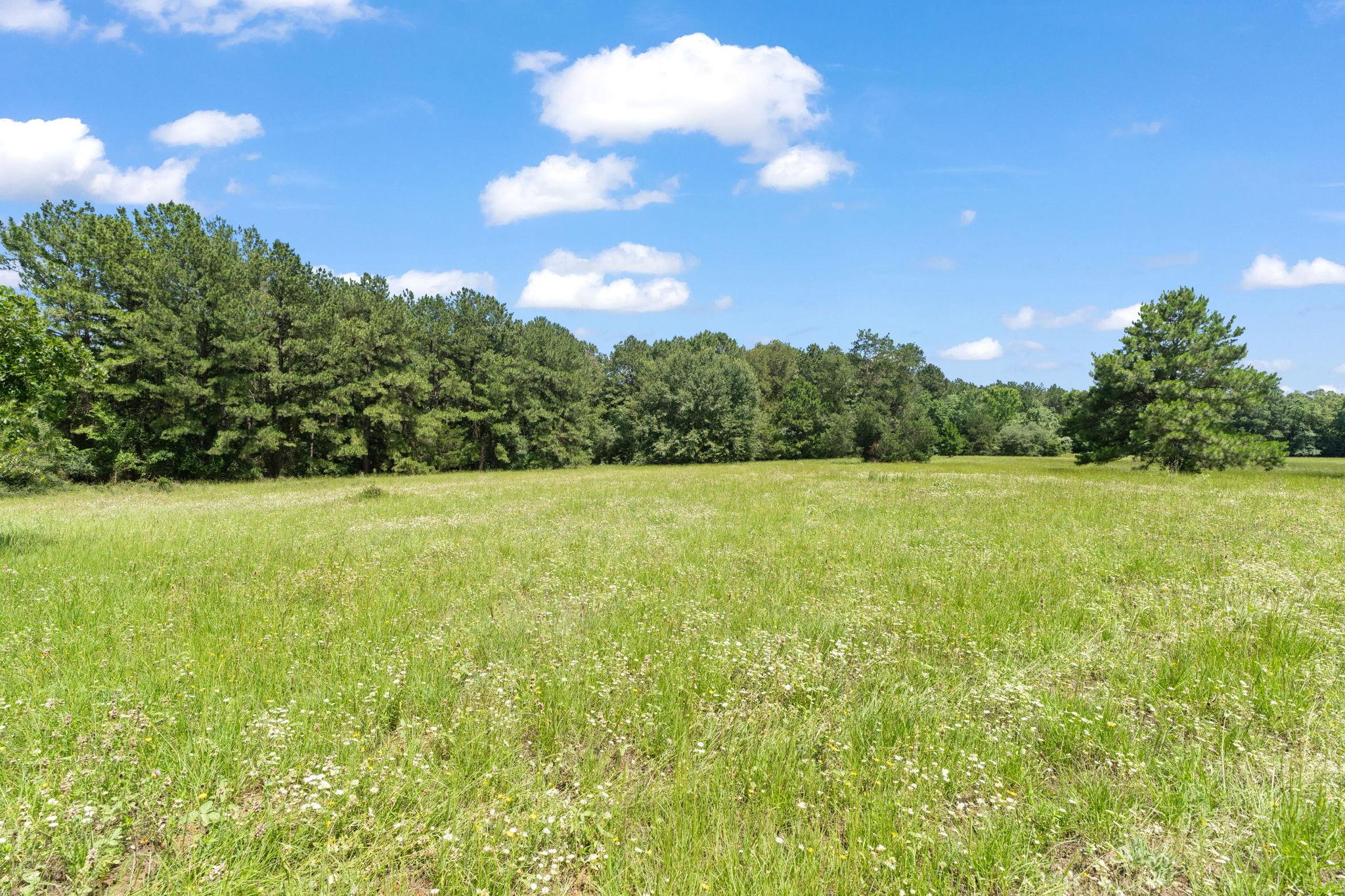 Tbd St Delight (Tract 1) Road Paige TX 78659
