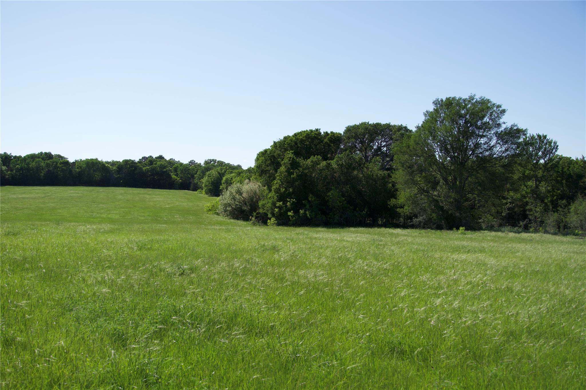 Tbd St Delight (Tract 1) Road Paige TX 78659