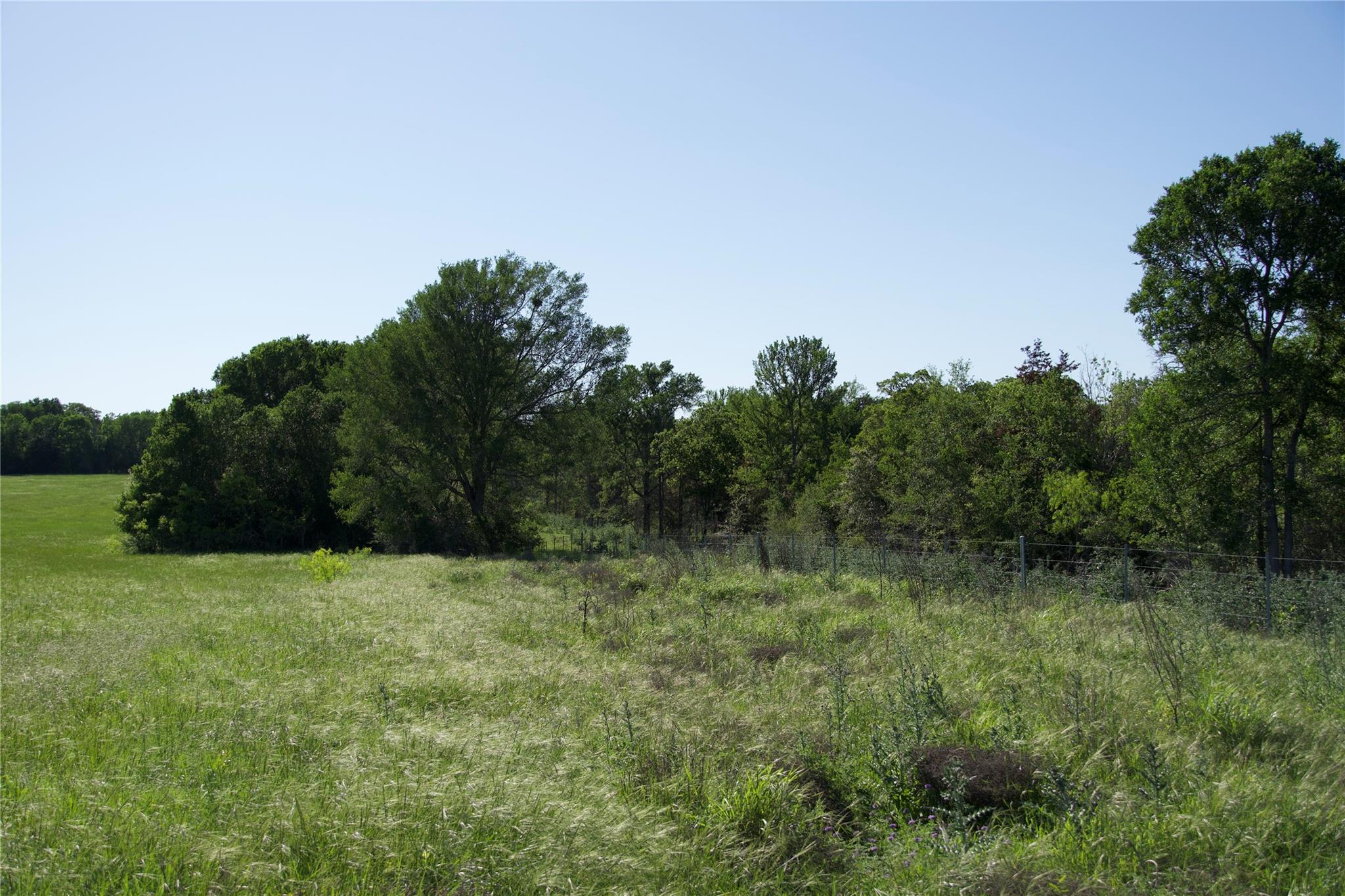 Tbd St Delight (Tract 1) Road Paige TX 78659