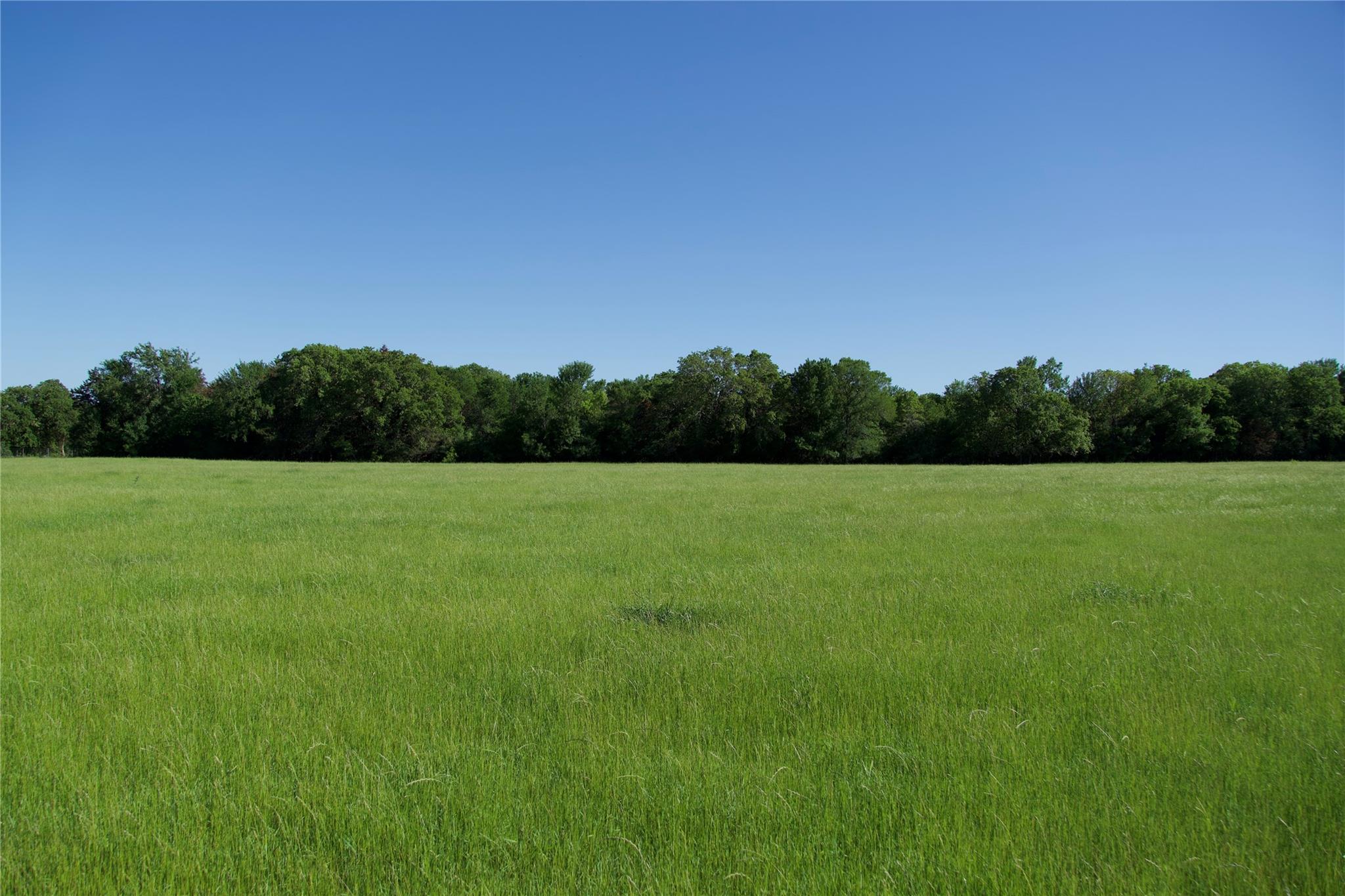 Tbd St Delight (Tract 1) Road Paige TX 78659