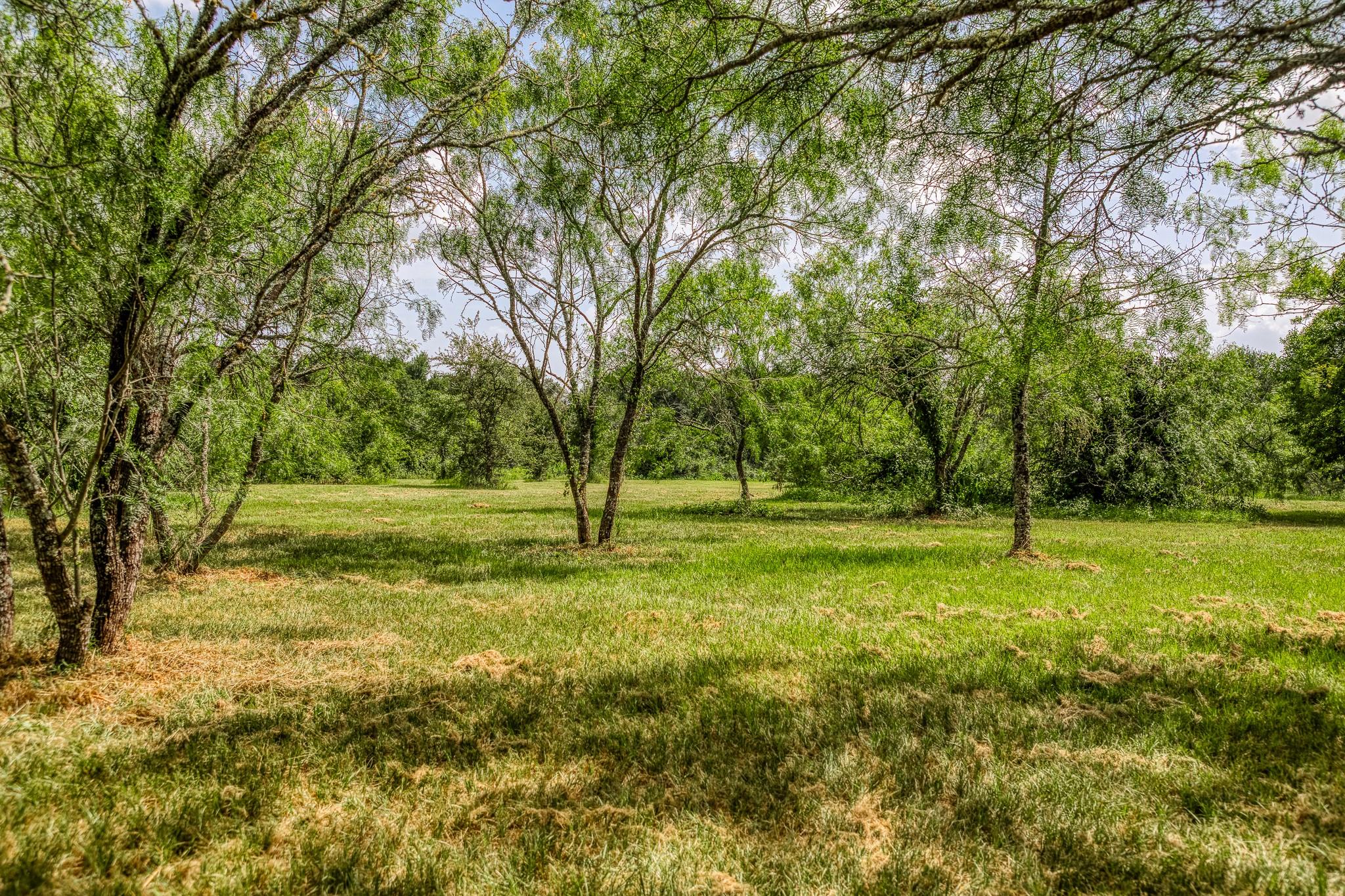 9159 Fm 1362 Caldwell TX 77836