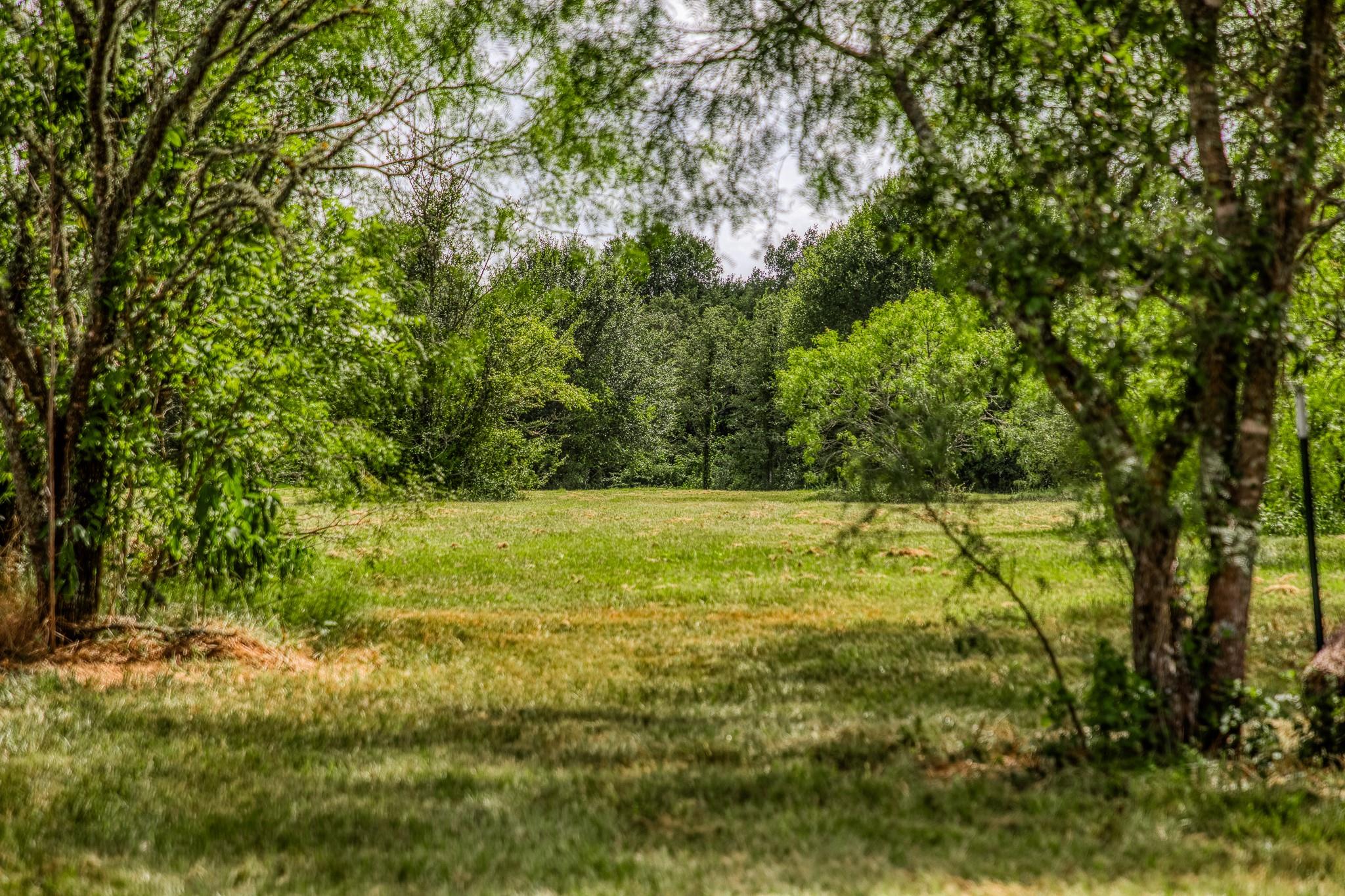 9159 Fm 1362 Caldwell TX 77836