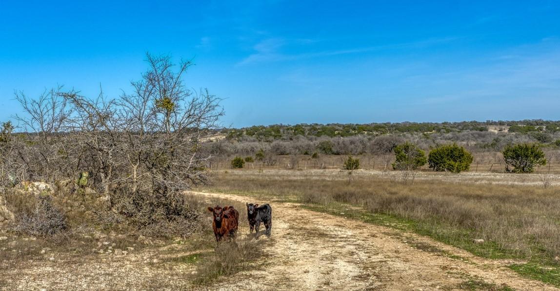 #866 Cr 2806 Lampasas TX 76550