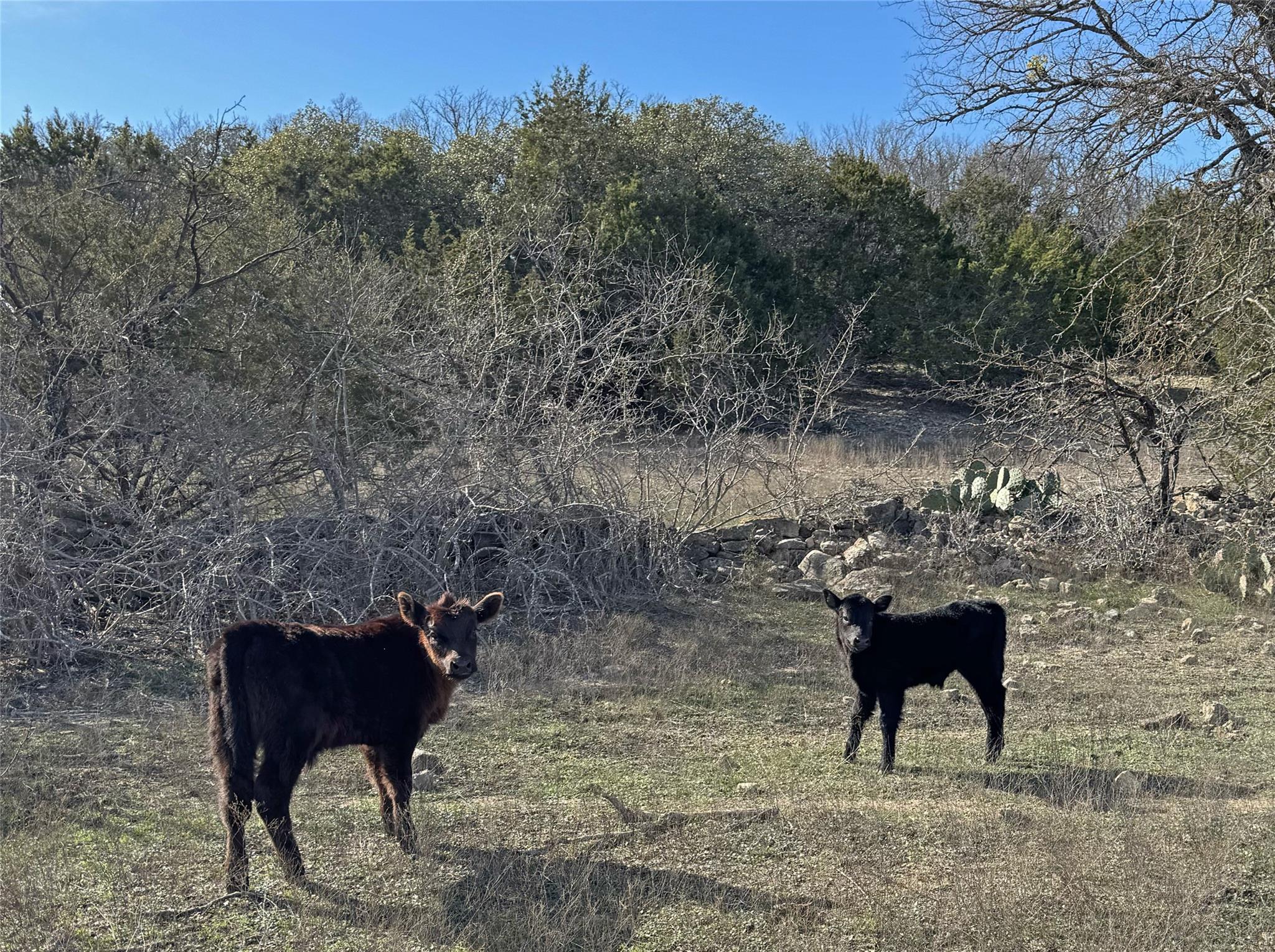 #866 Cr 2806 Lampasas TX 76550