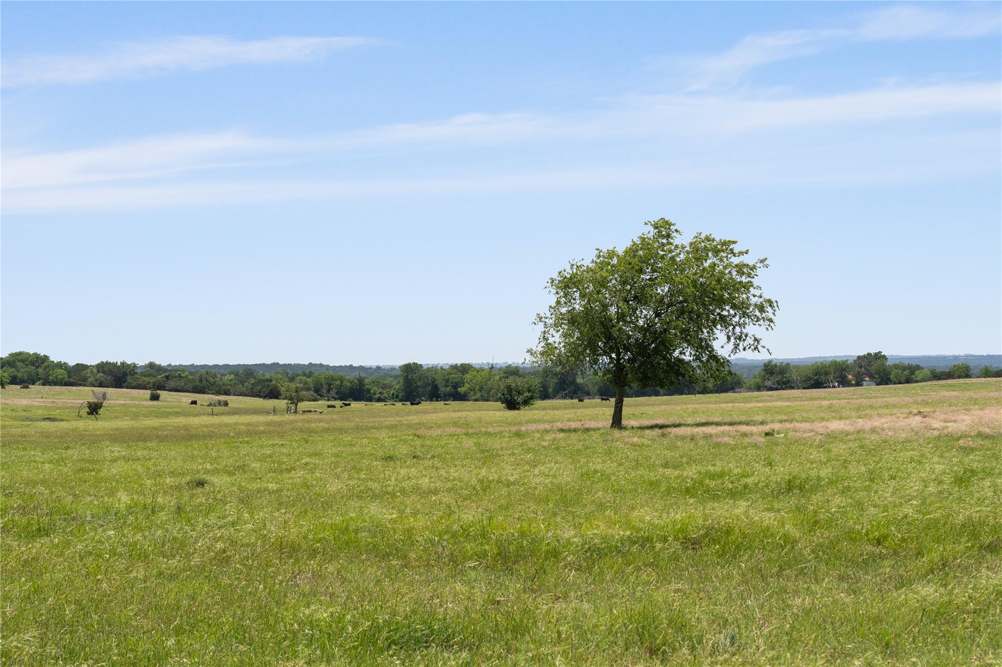 16160 Siler Road Moody TX 76557