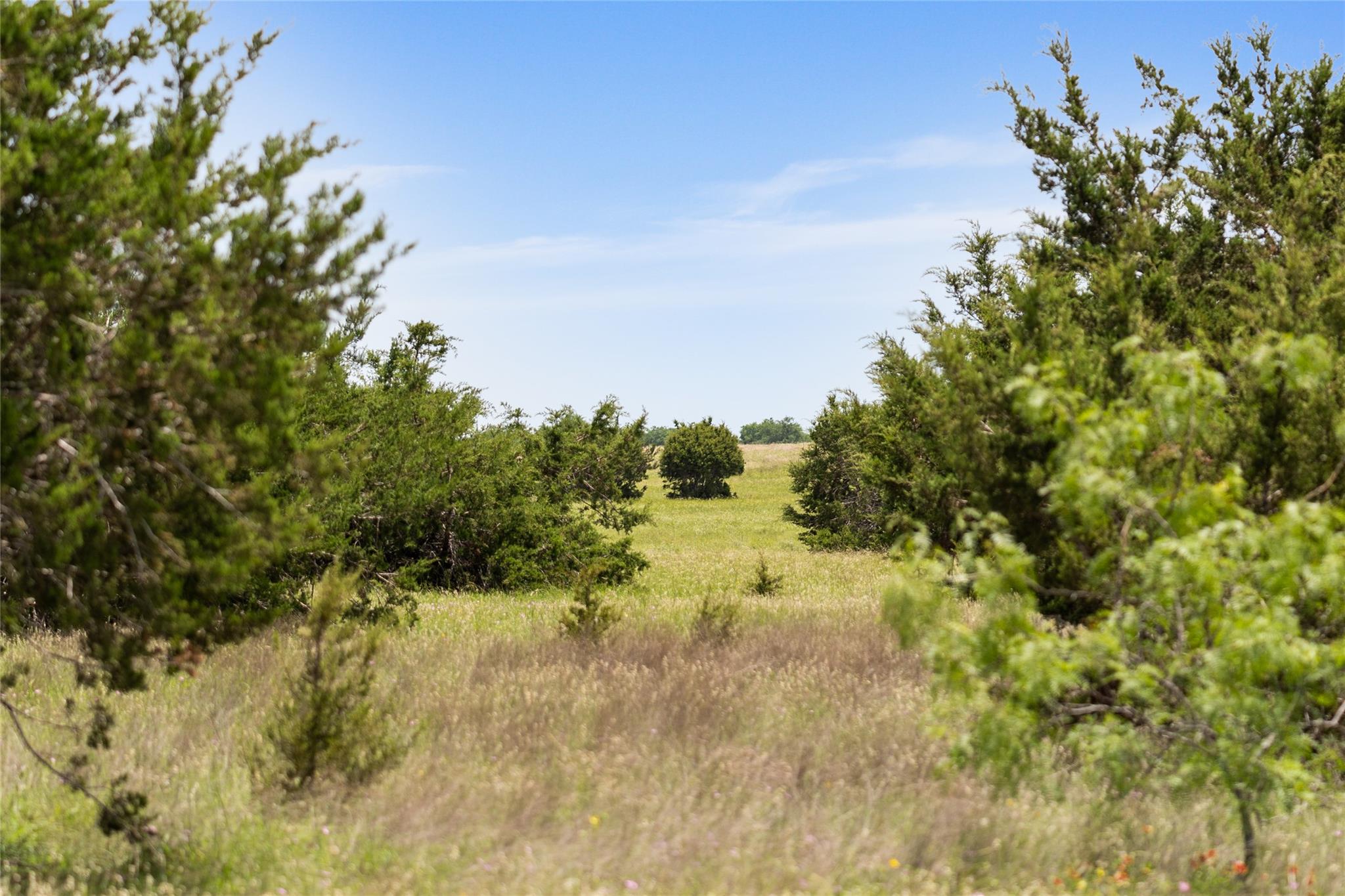16160 Siler Road Moody TX 76557