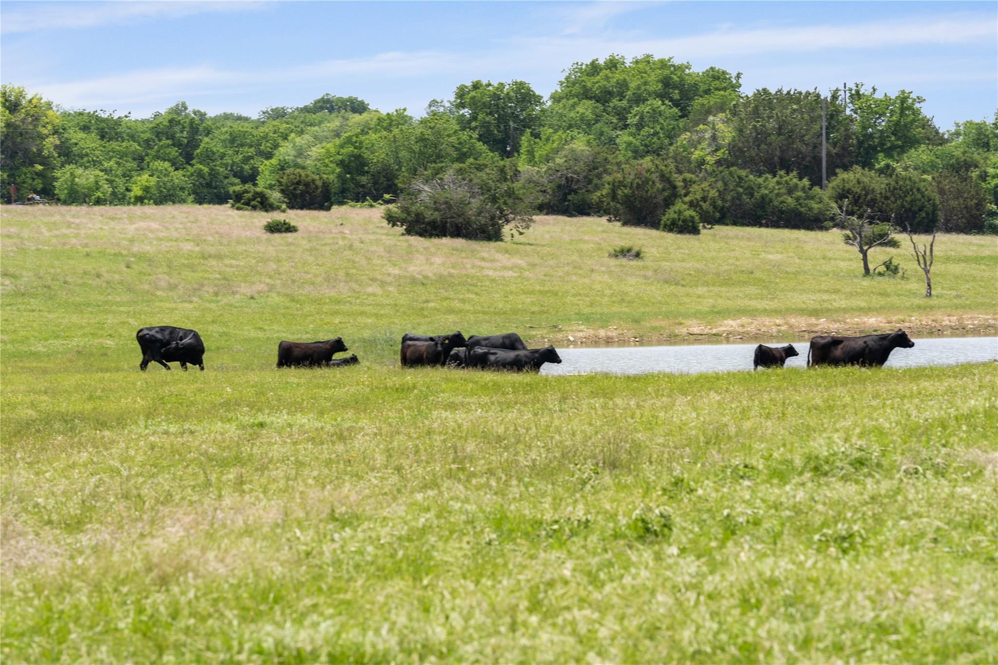 16160 Siler Road Moody TX 76557