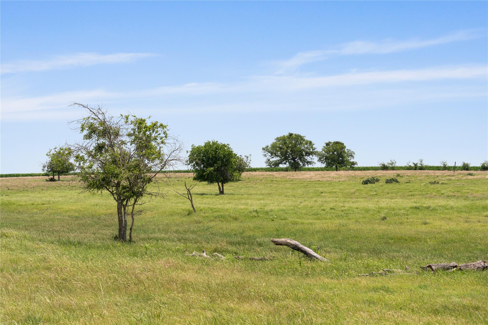 16160 Siler Road Moody TX 76557