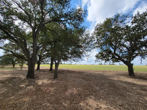 Tract 2 Fm 713 Highway Lockhart TX 78644