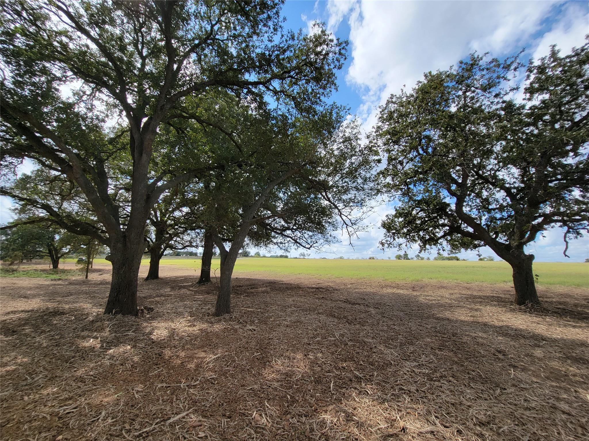 Tract 2 Fm 713 Highway Lockhart TX 78644