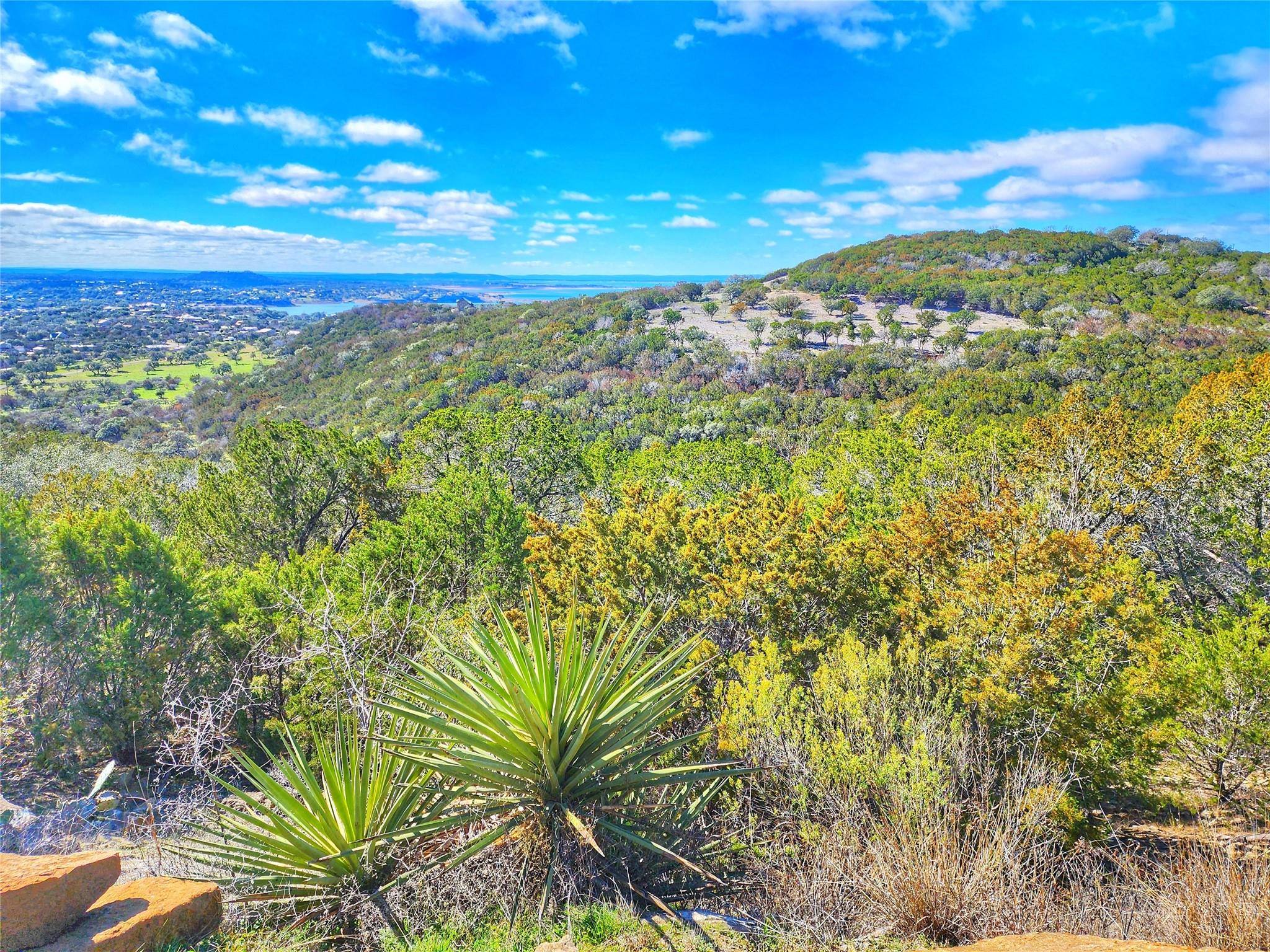 0 N Mountain Laurel Lane Burnet TX 78611