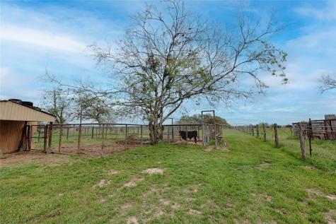 341 County Road 233 Road Hallettsville TX 77964