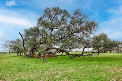 341 County Road 233 Road Hallettsville TX 77964