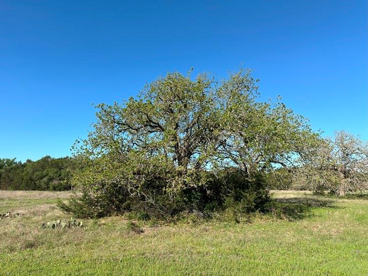 500 Thousand Oaks Trail Liberty Hill TX 78641