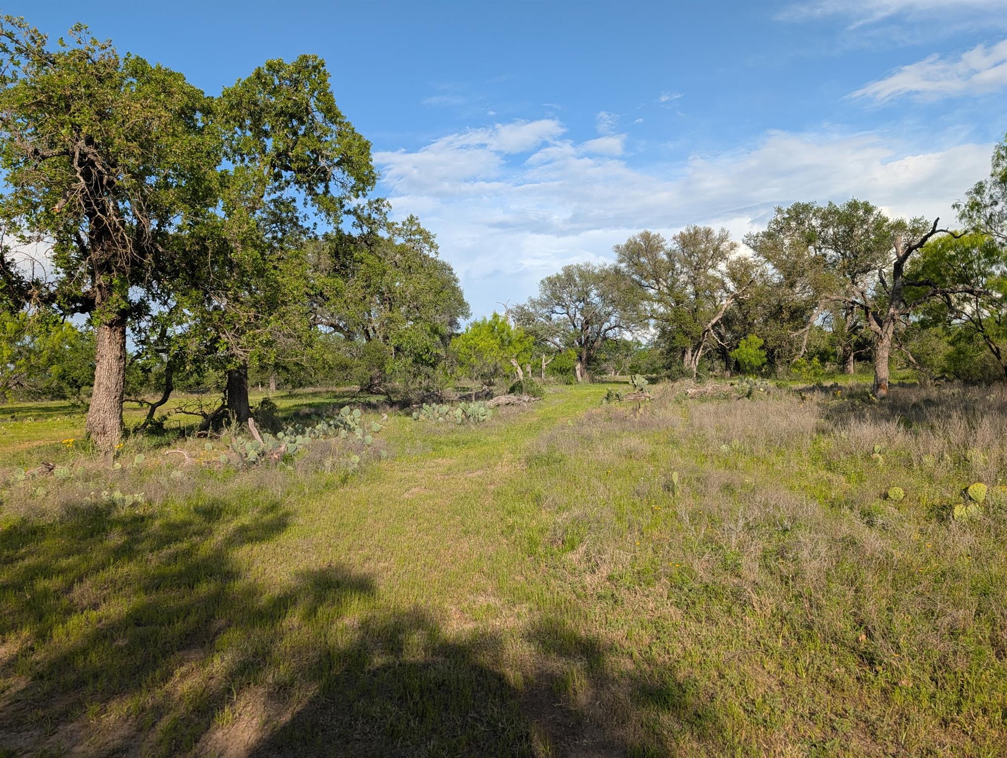 Tbd Fm 1980 Marble Falls TX 78654