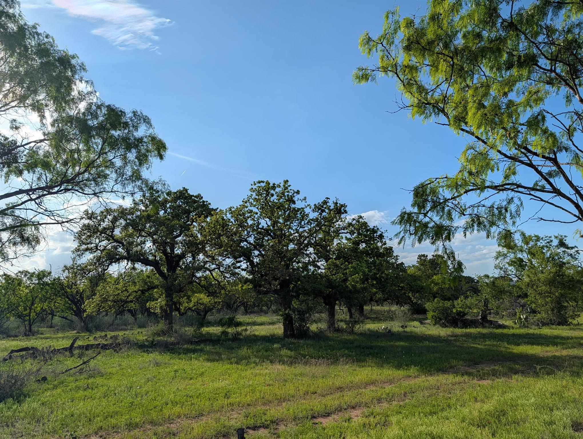 Tbd Fm 1980 Marble Falls TX 78654