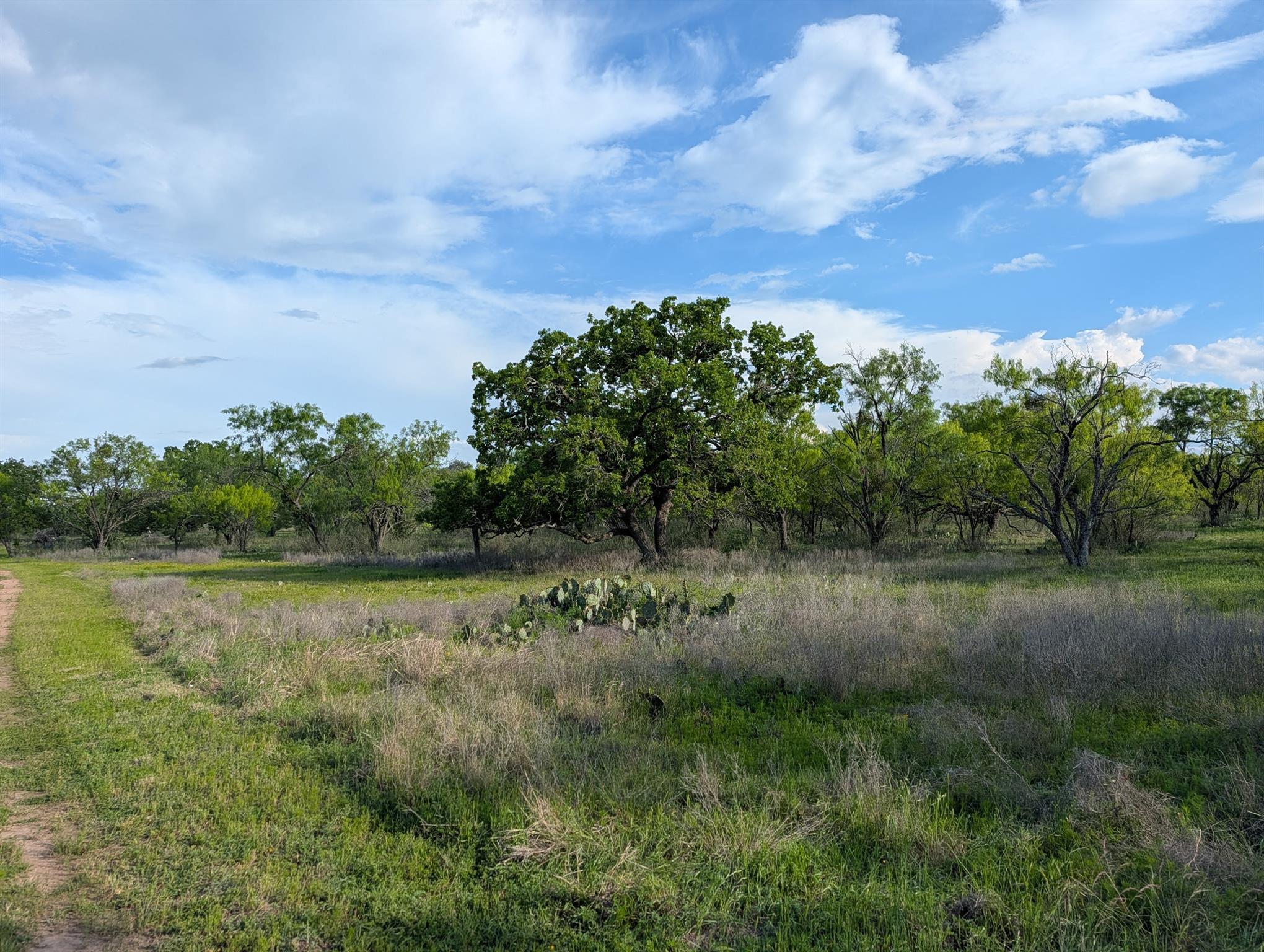 Tbd Fm 1980 Marble Falls TX 78654