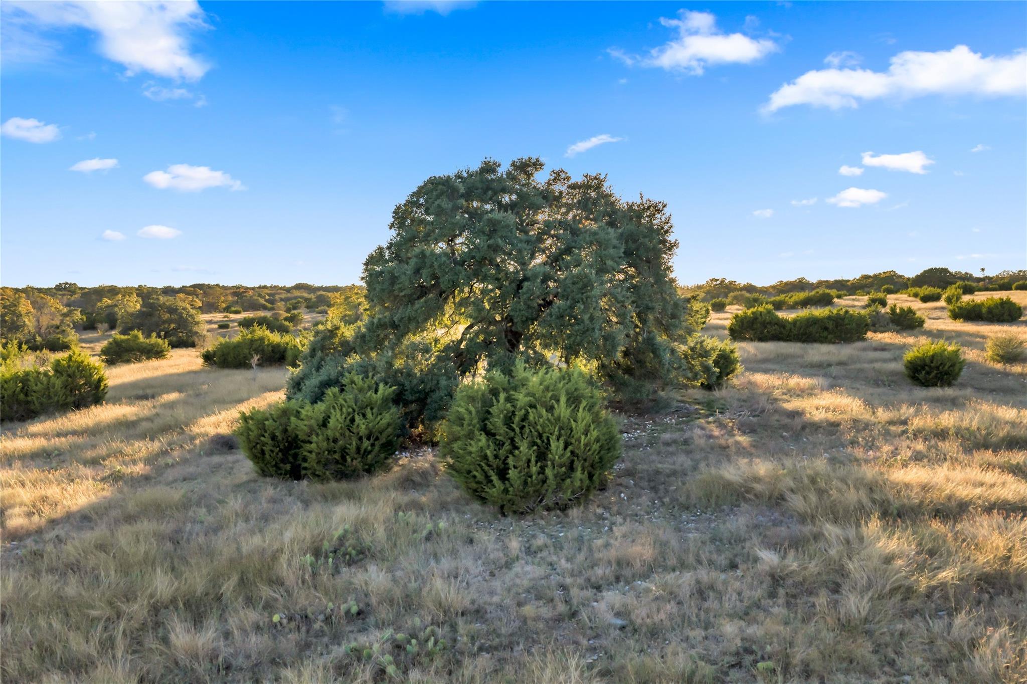 7531 Cr 336 Bertram TX 78605