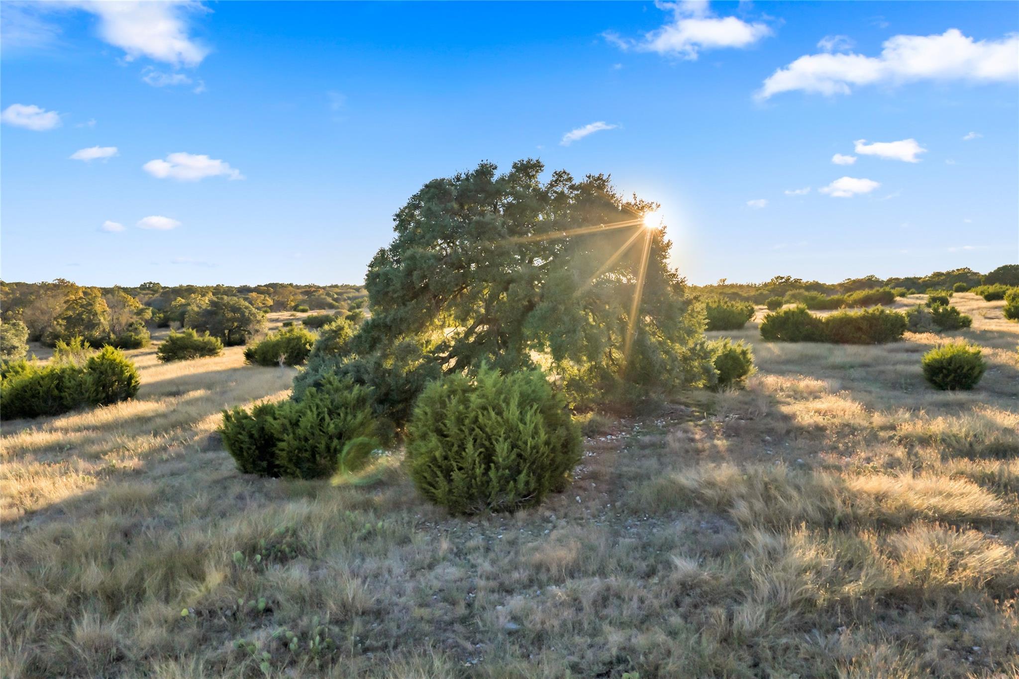 7531 Cr 336 Bertram TX 78605
