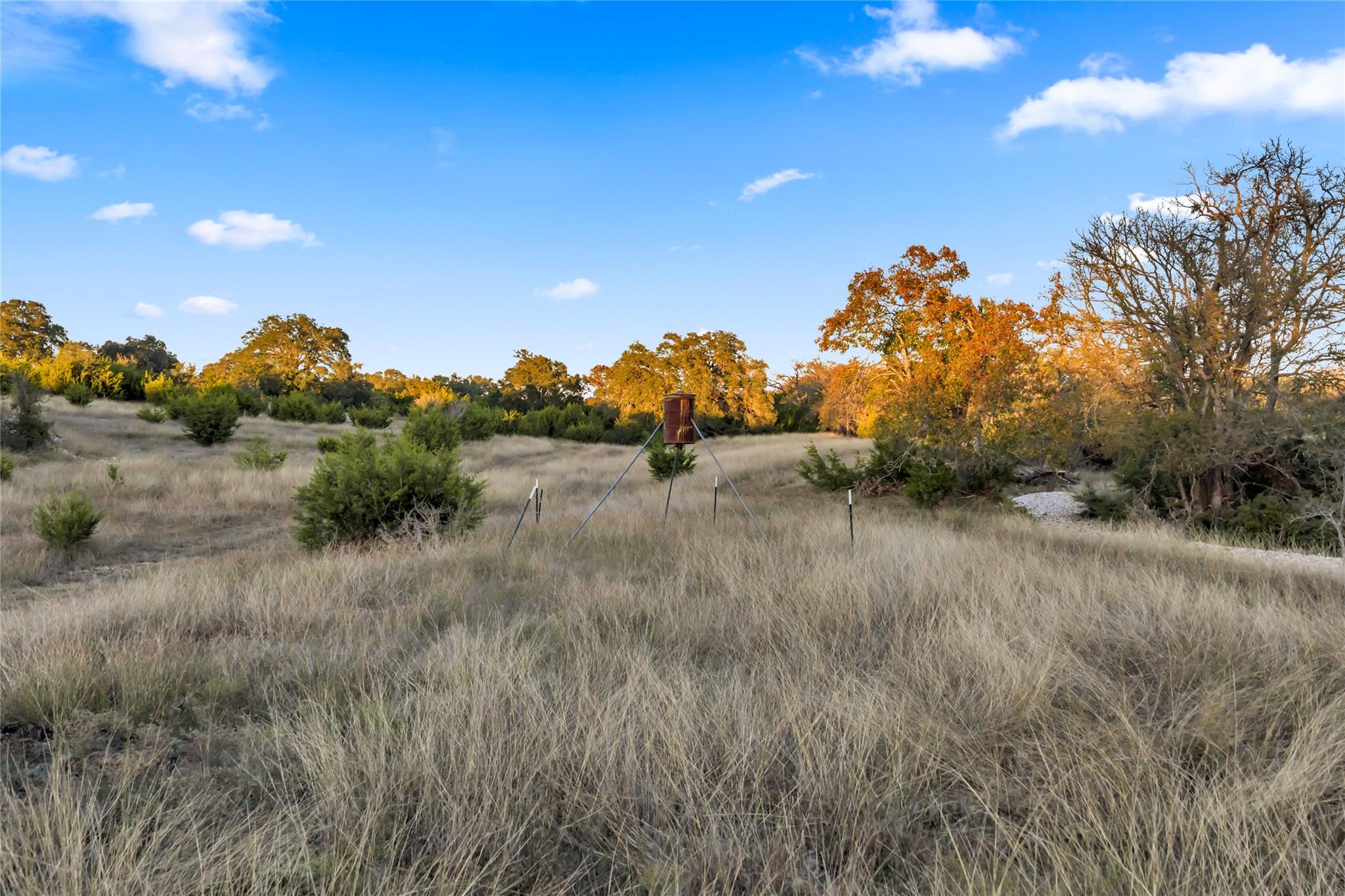 7531 Cr 336 Bertram TX 78605