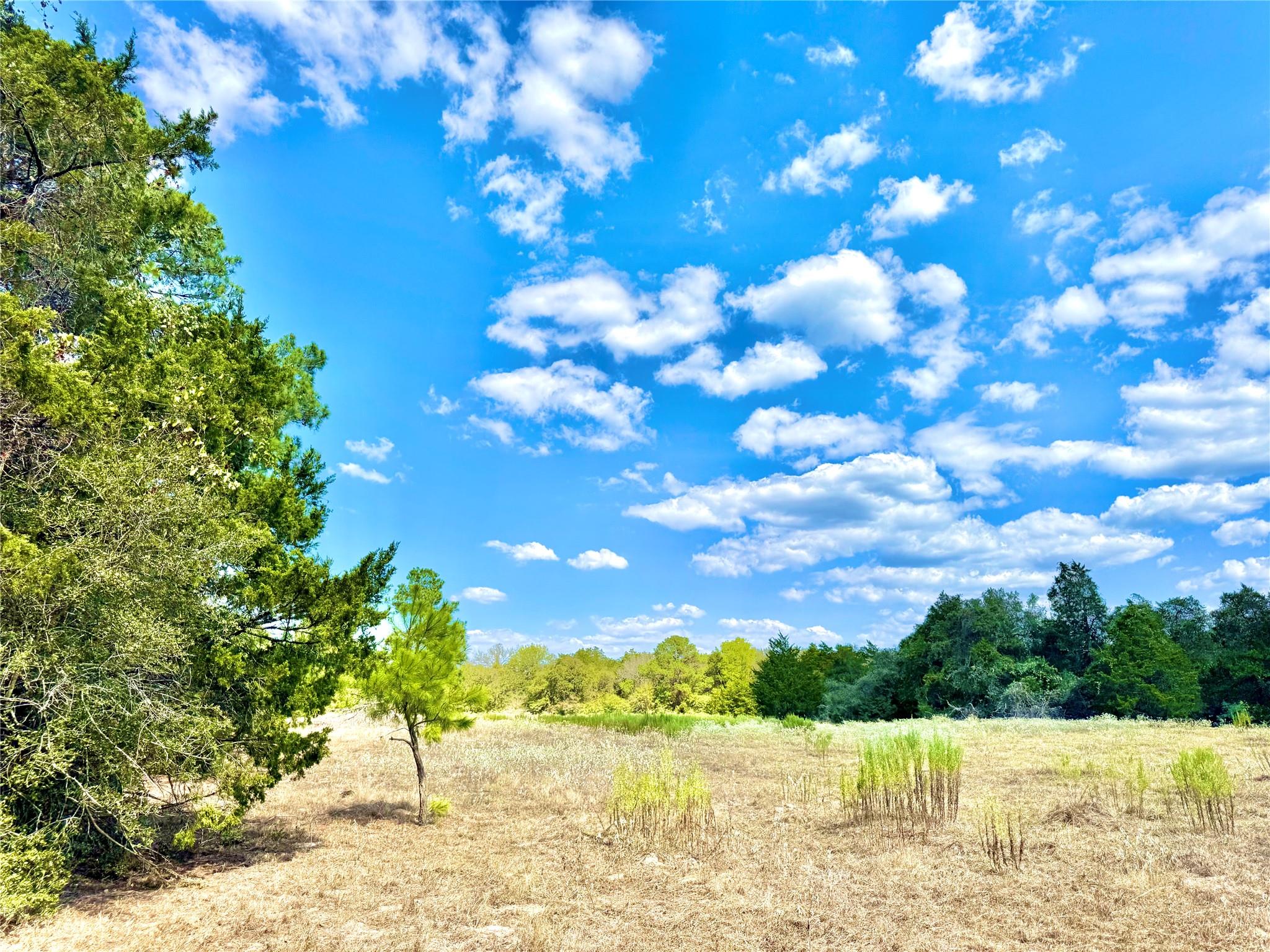 Tbd 50.62 Acres Rabel Road Rosanky TX 78953