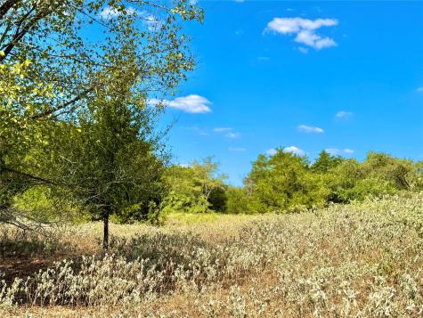 Tbd 50.62 Acres Rabel Road Rosanky TX 78953