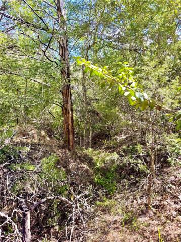 Tbd 50.62 Acres Rabel Road Rosanky TX 78953