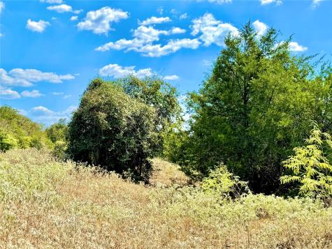 Tbd 50.62 Acres Rabel Road Rosanky TX 78953