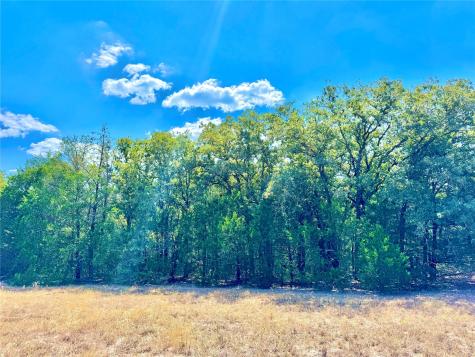 Tbd 50.62 Acres Rabel Road Rosanky TX 78953