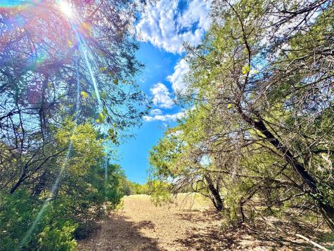 50 Rabel Road Rosanky TX 78953