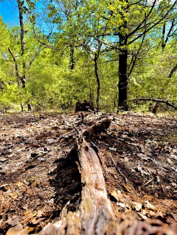 Tbd 50.62 Acres Rabel Road Rosanky TX 78953