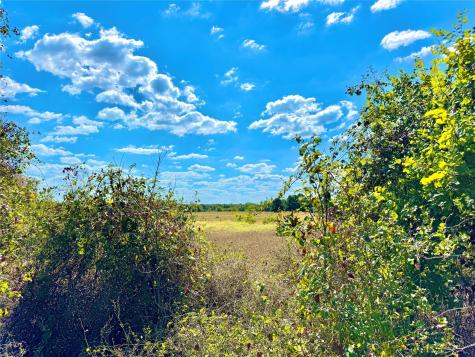 Tbd 50.62 Acres Rabel Road Rosanky TX 78953