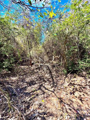 Tbd 50.62 Acres Rabel Road Rosanky TX 78953