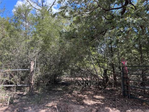 Tbd 50.62 Acres Rabel Road Rosanky TX 78953