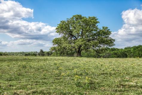 11320 County Road 343 Caldwell TX 77836