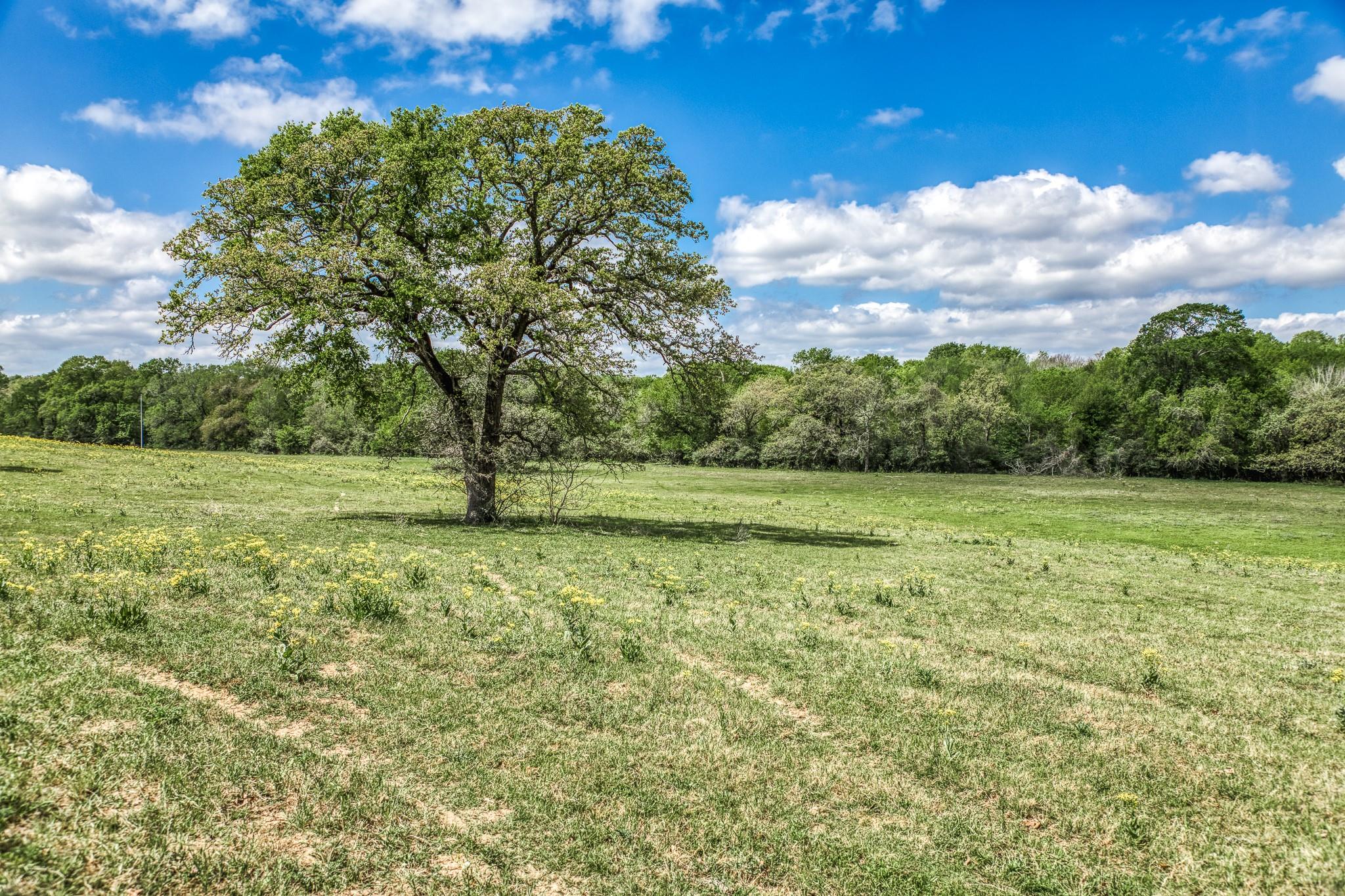 11320 County Road 343 Caldwell TX 77836