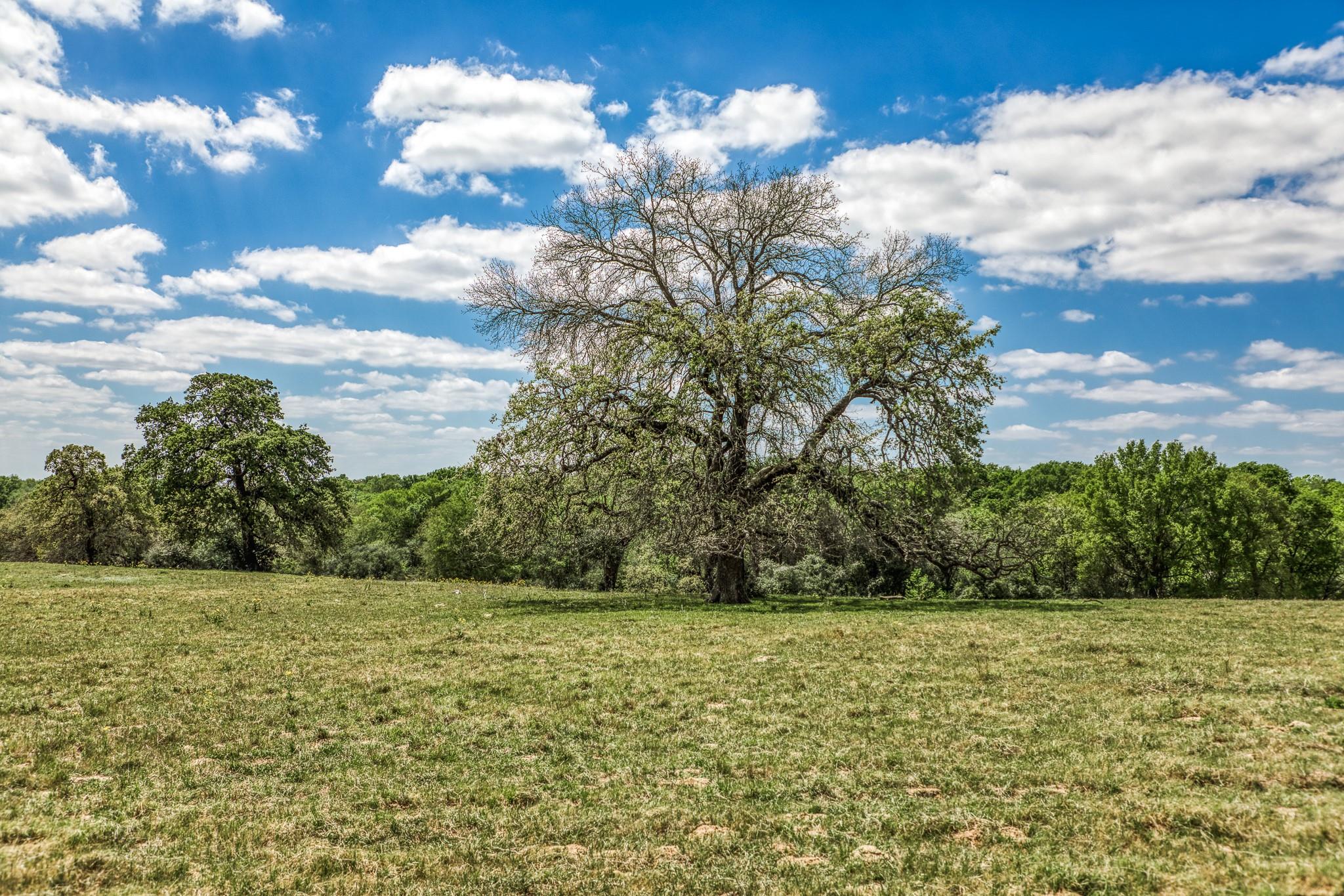 11320 County Road 343 Caldwell TX 77836
