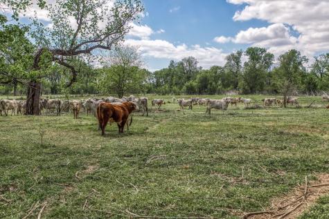 11320 County Road 343 Caldwell TX 77836