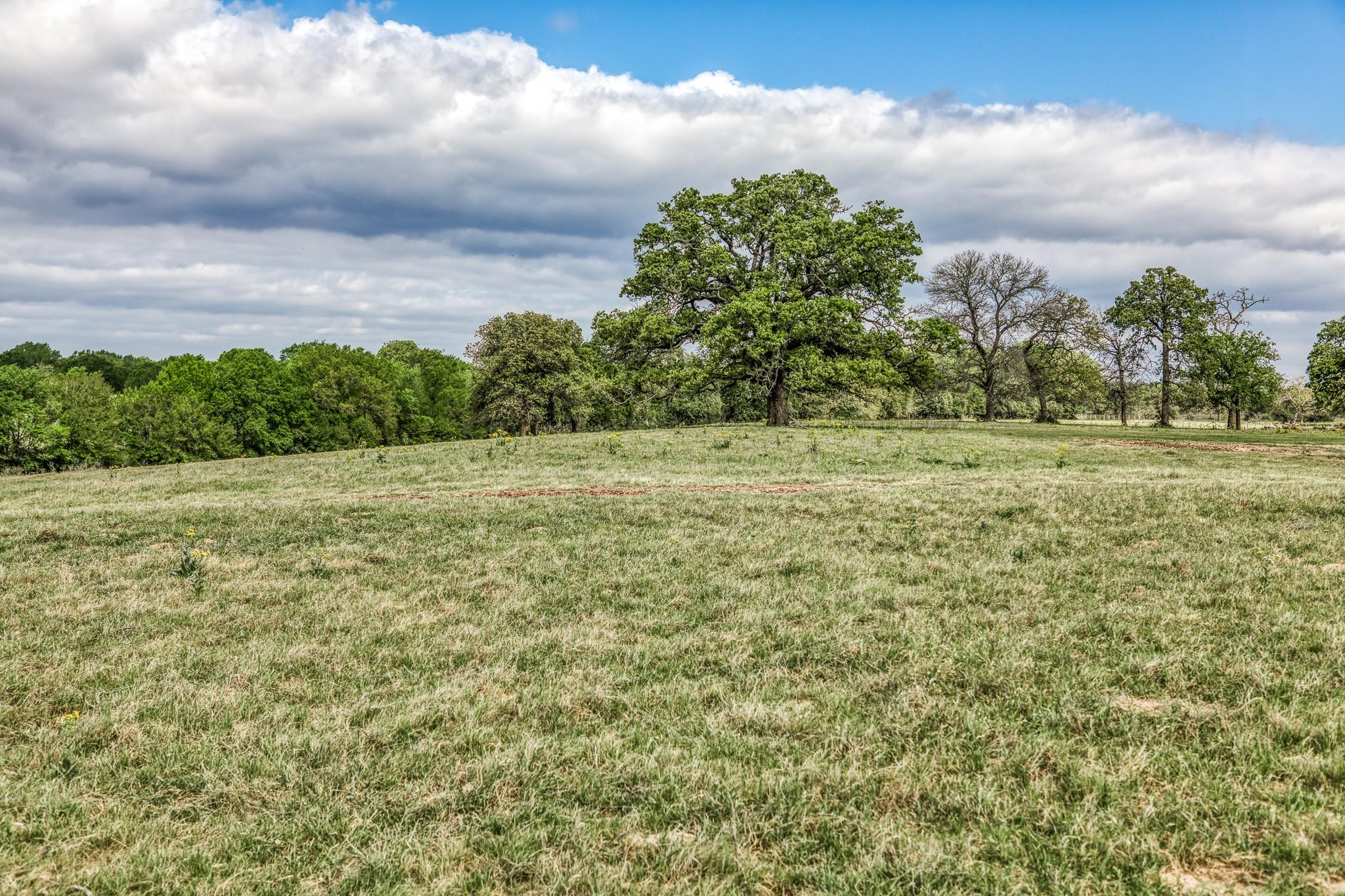 11320 County Road 343 Caldwell TX 77836