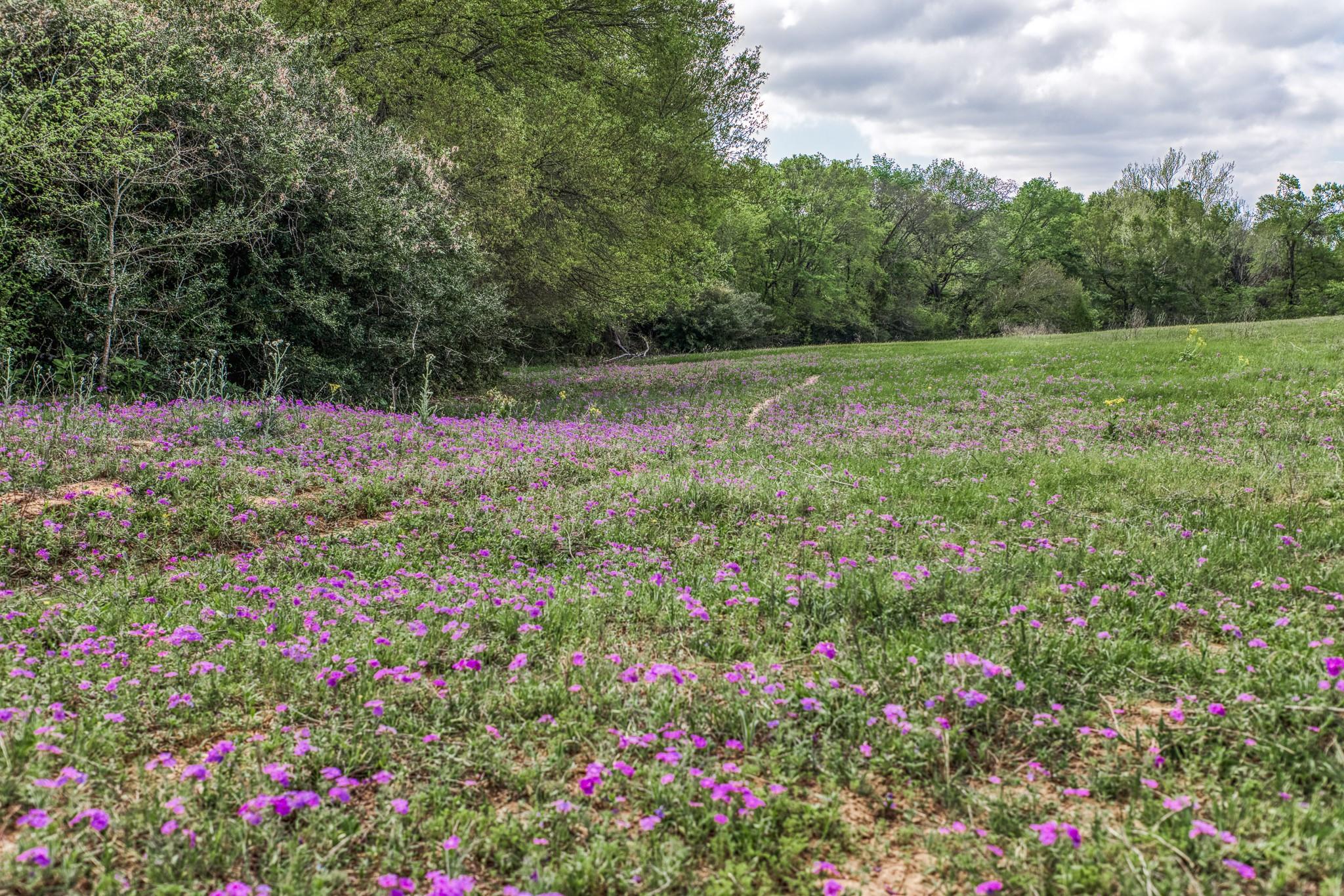 11320 County Road 343 Caldwell TX 77836