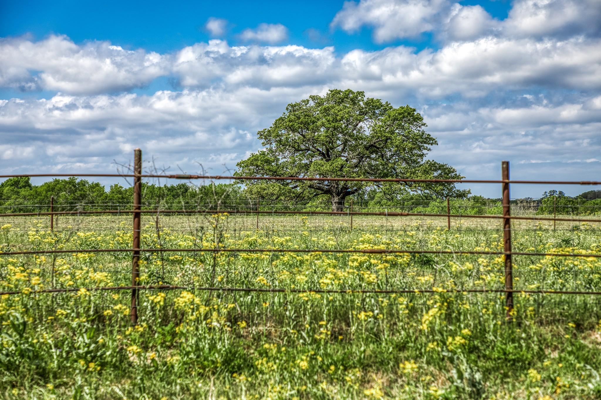 11320 County Road 343 Caldwell TX 77836