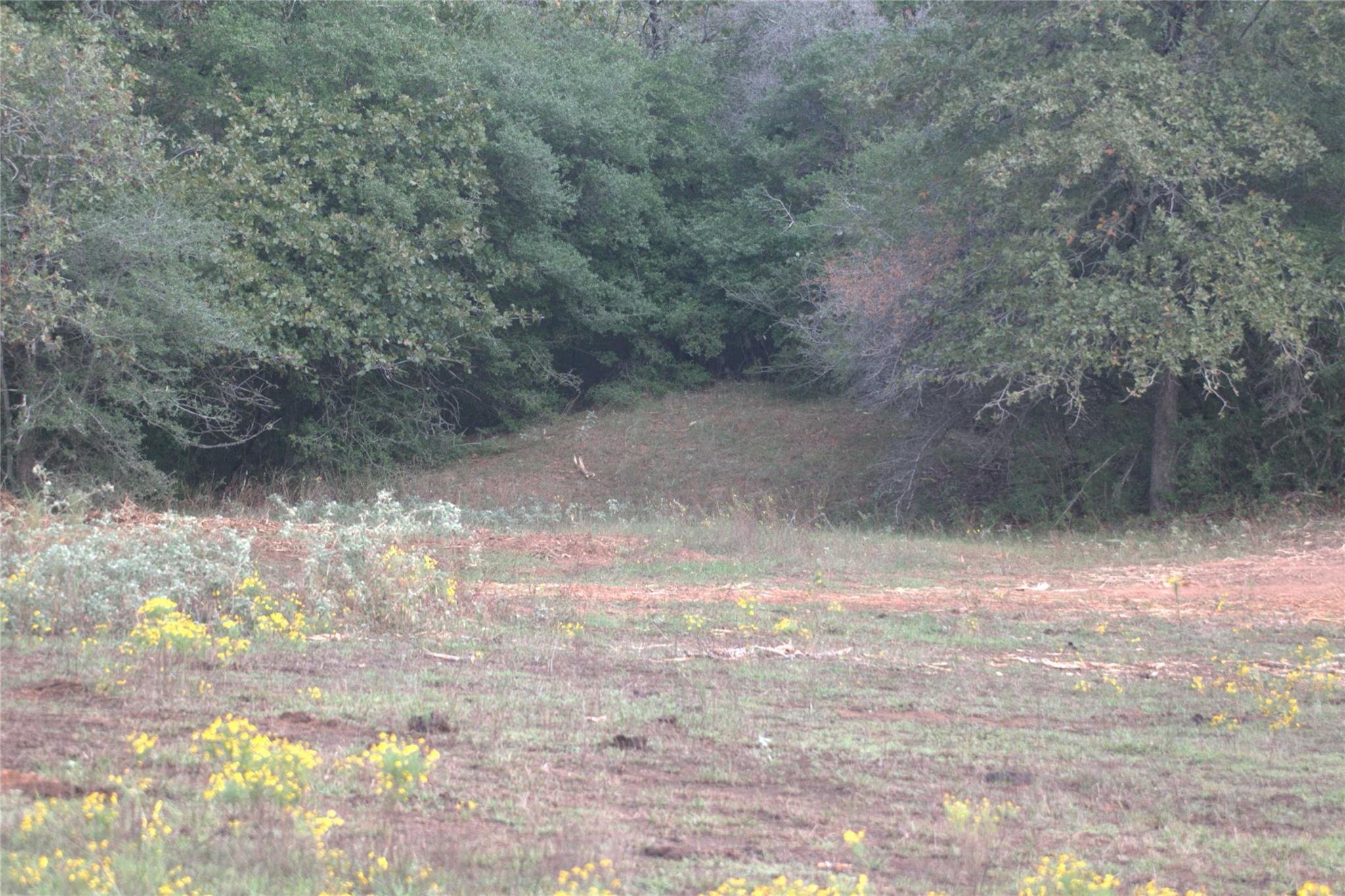 1742 County Road 413 N Lexington TX 78947